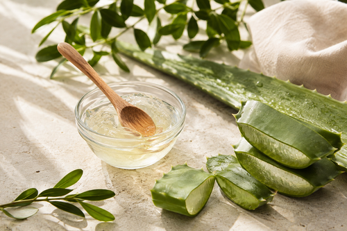 Aloe Vera