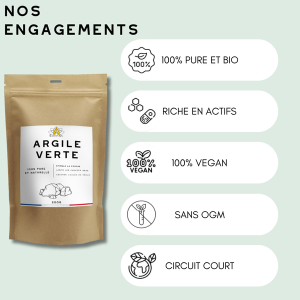 Argile Verte Montmorillonite