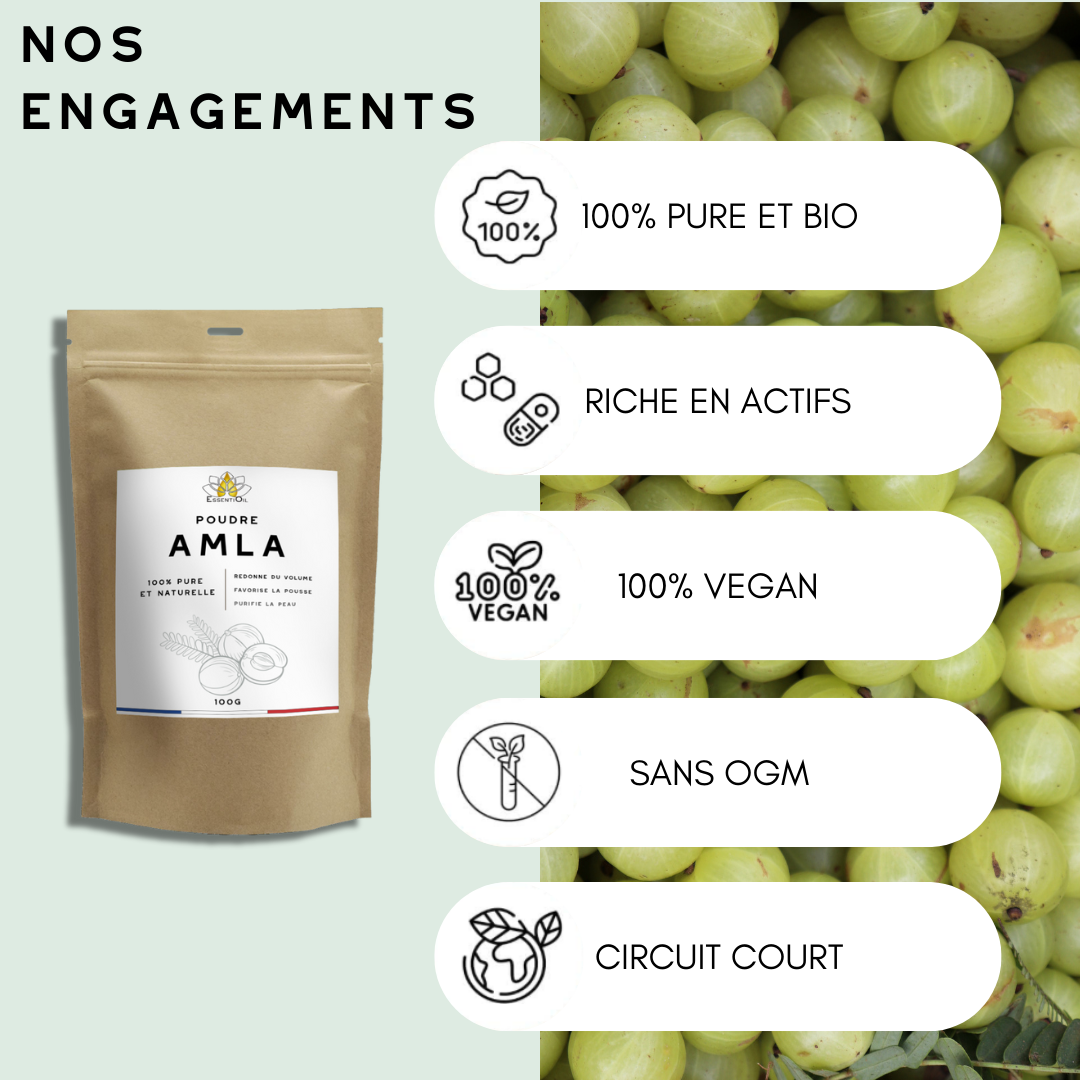 engagements poudre amla