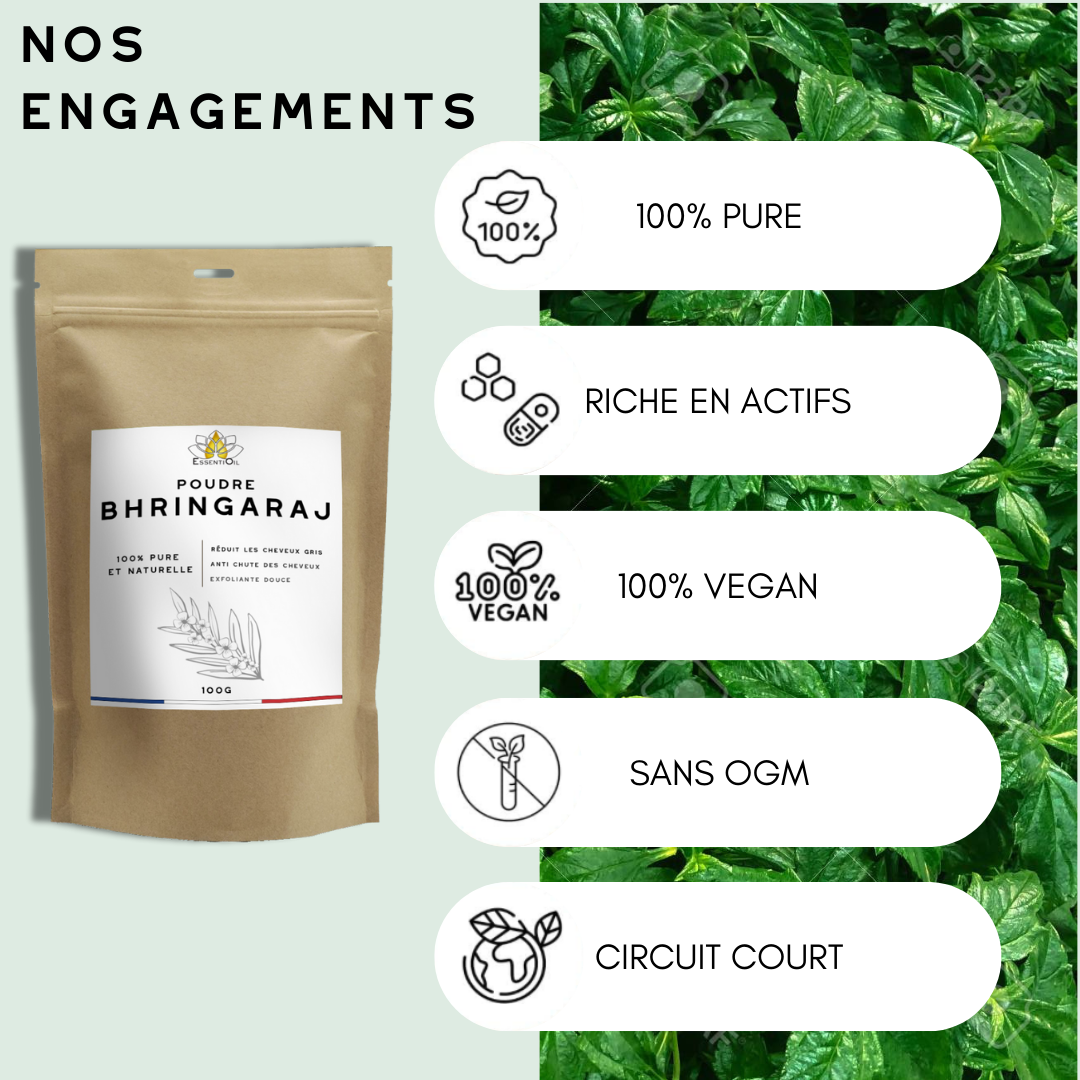 Poudre de Bhringaraj - 100g : Essentioil
