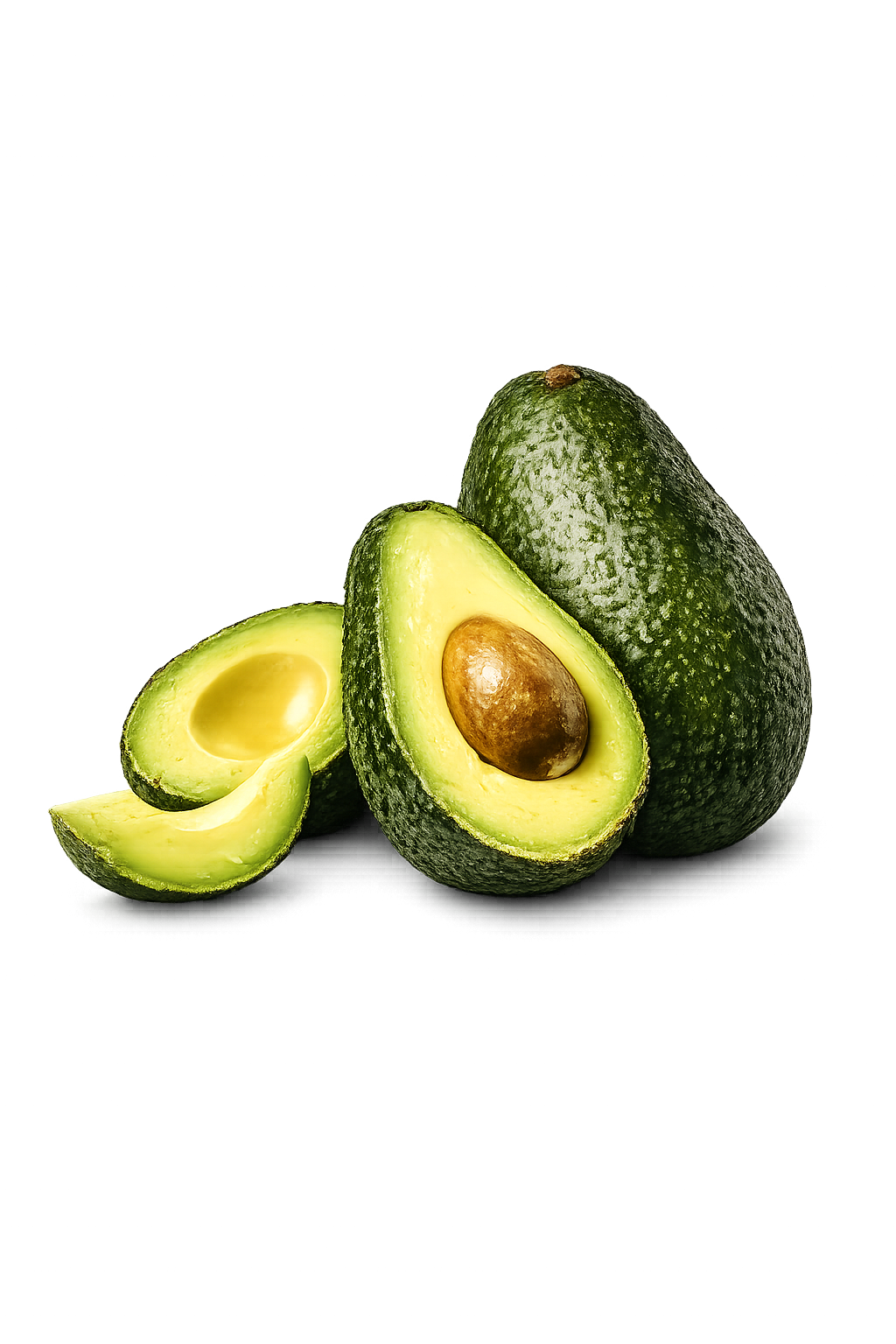 Avocat BIO